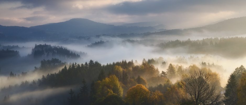 Mlžná krajina