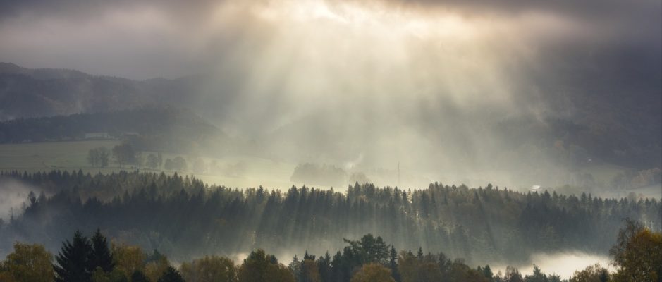 Opona světla